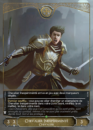 7FALLEN_CARTES_VOIE_FR_Page_107.jpg