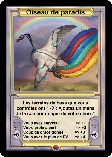 Oiseau de paradis